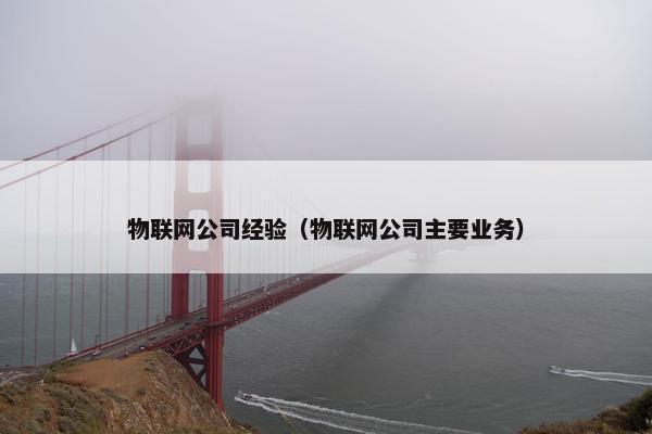 物联网公司经验（物联网公司主要业务）