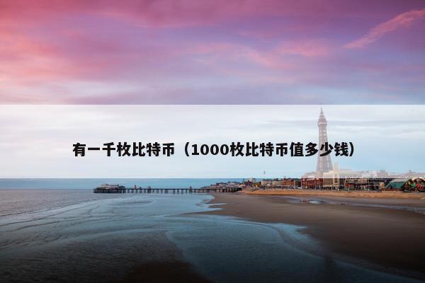 有一千枚比特币（1000枚比特币值多少钱）