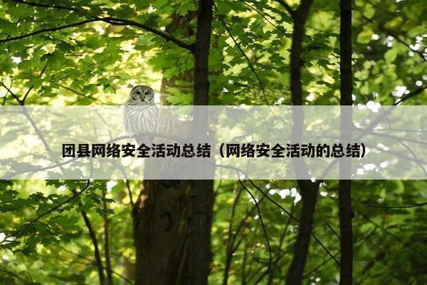 团县网络安全活动总结（网络安全活动的总结）