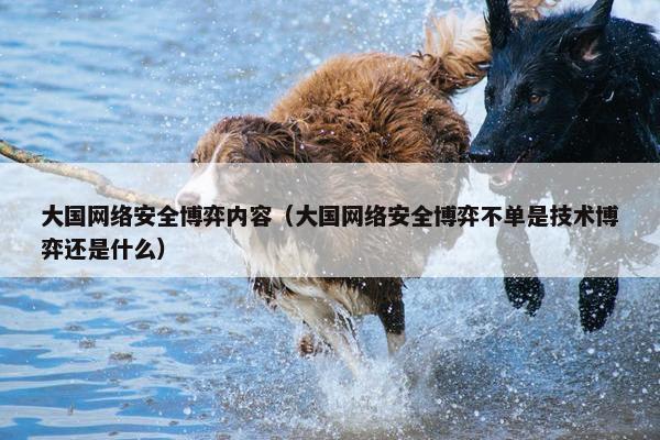 大国网络安全博弈内容（大国网络安全博弈不单是技术博弈还是什么）