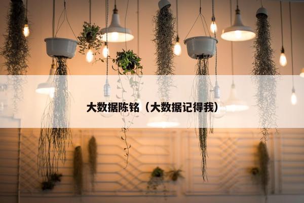 大数据陈铭（大数据记得我）