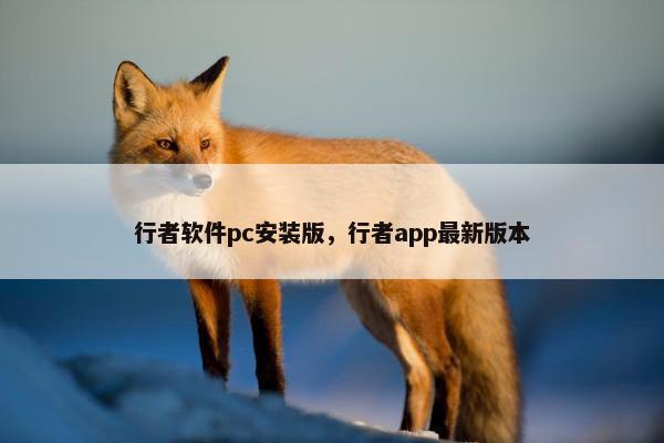 行者软件pc安装版，行者app最新版本