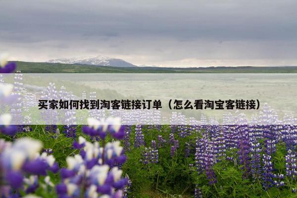 买家如何找到淘客链接订单（怎么看淘宝客链接）