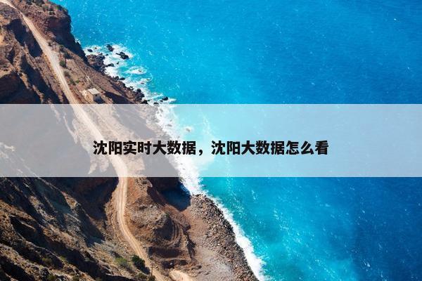 沈阳实时大数据，沈阳大数据怎么看