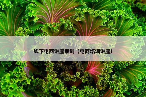 线下电商讲座策划（电商培训讲座）