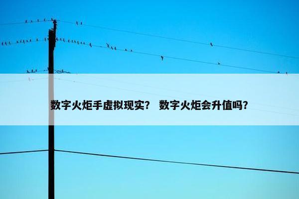 数字火炬手虚拟现实？ 数字火炬会升值吗？