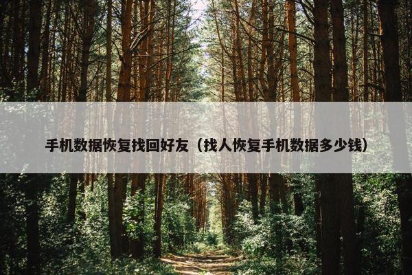 手机数据恢复找回好友（找人恢复手机数据多少钱）