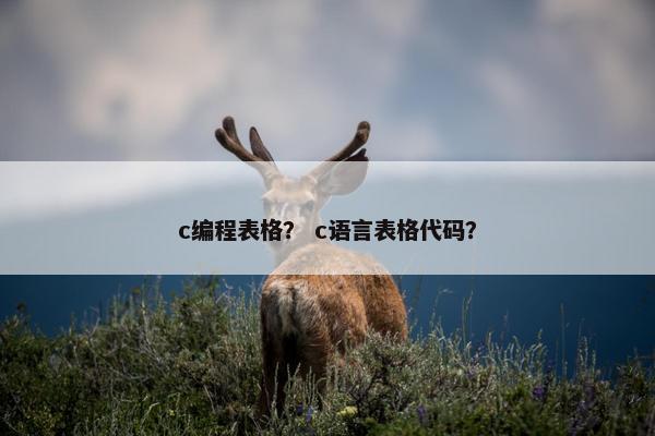 c编程表格？ c语言表格代码？