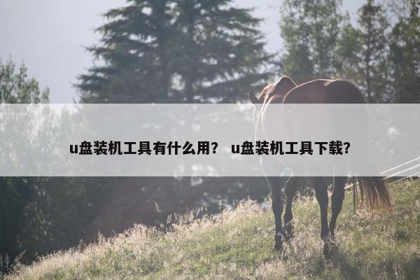 u盘装机工具有什么用？ u盘装机工具下载？
