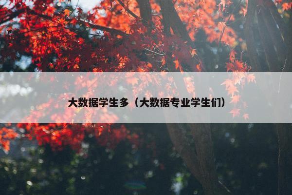 大数据学生多（大数据专业学生们）