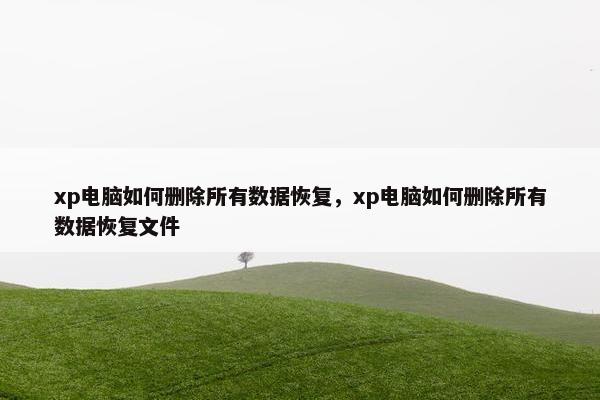 xp电脑如何删除所有数据恢复，xp电脑如何删除所有数据恢复文件