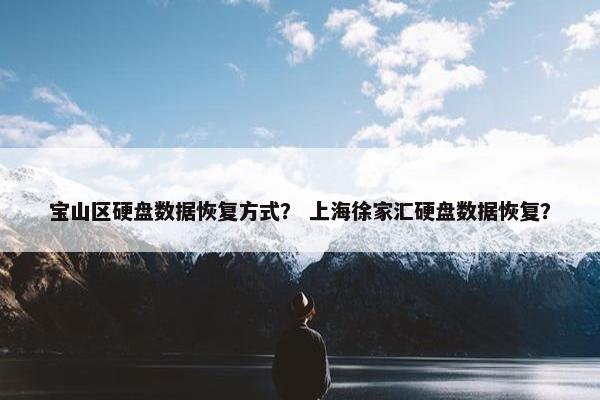 宝山区硬盘数据恢复方式？ 上海徐家汇硬盘数据恢复？