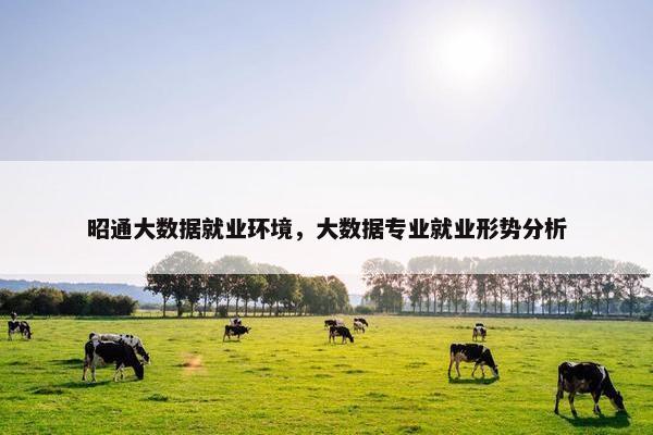 昭通大数据就业环境，大数据专业就业形势分析