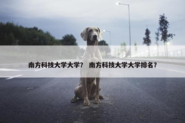南方科技大学大学？ 南方科技大学大学排名？