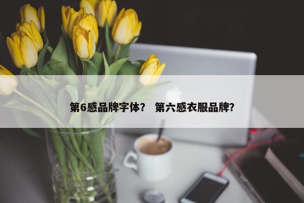 第6感品牌字体？ 第六感衣服品牌？