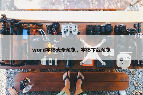 word字体大全预览，字体下载预览