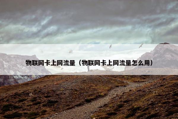 物联网卡上网流量（物联网卡上网流量怎么用）