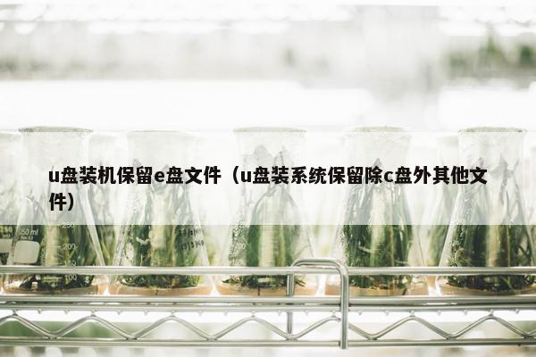 u盘装机保留e盘文件（u盘装系统保留除c盘外其他文件）