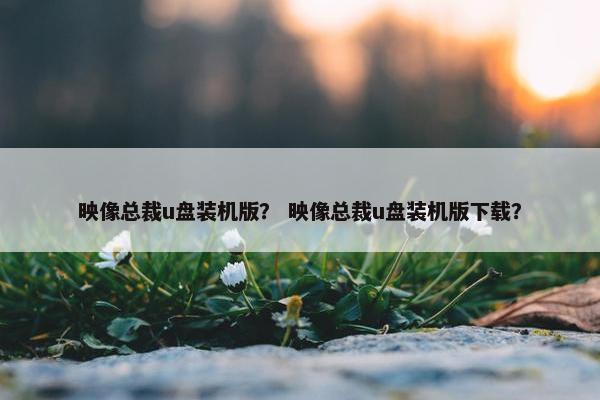 映像总裁u盘装机版？ 映像总裁u盘装机版下载？