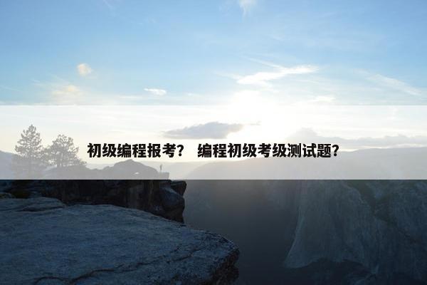 初级编程报考？ 编程初级考级测试题？