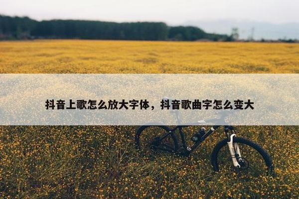 抖音上歌怎么放大字体，抖音歌曲字怎么变大
