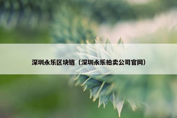 深圳永乐区块链（深圳永乐拍卖公司官网）