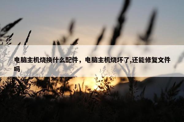 电脑主机烧换什么配件，电脑主机烧坏了,还能修复文件吗