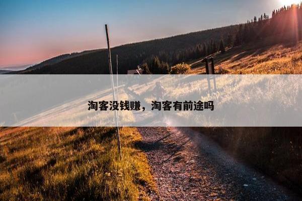 淘客没钱赚，淘客有前途吗
