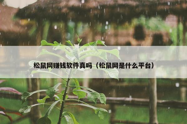 松鼠网赚钱软件真吗（松鼠网是什么平台）