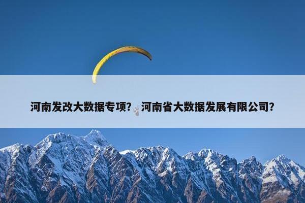 河南发改大数据专项？ 河南省大数据发展有限公司？