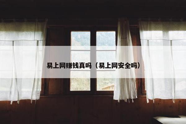 易上网赚钱真吗（易上网安全吗）