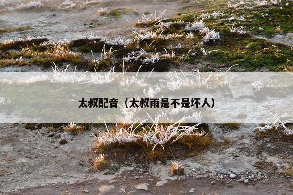太叔配音（太叔雨是不是坏人）