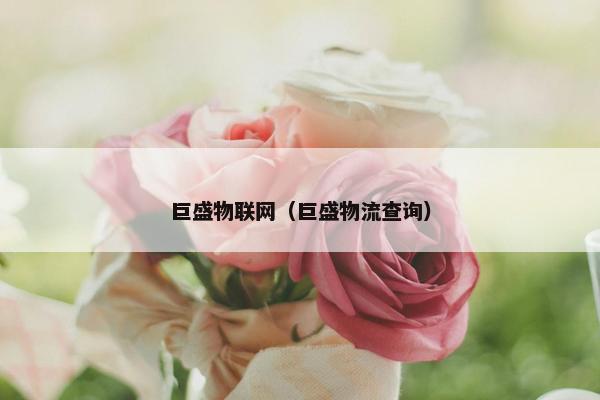 巨盛物联网（巨盛物流查询）