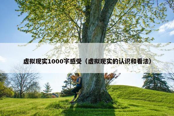 虚拟现实1000字感受（虚拟现实的认识和看法）