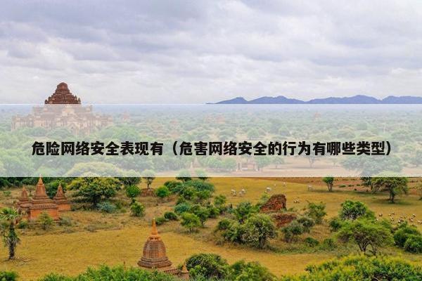 危险网络安全表现有（危害网络安全的行为有哪些类型）