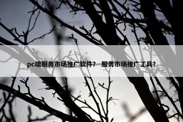 pc端服务市场推广软件？ 服务市场推广工具？