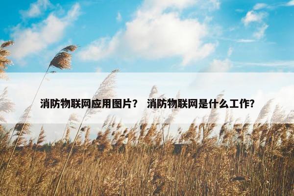 消防物联网应用图片？ 消防物联网是什么工作？