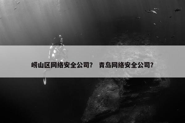 崂山区网络安全公司？ 青岛网络安全公司？