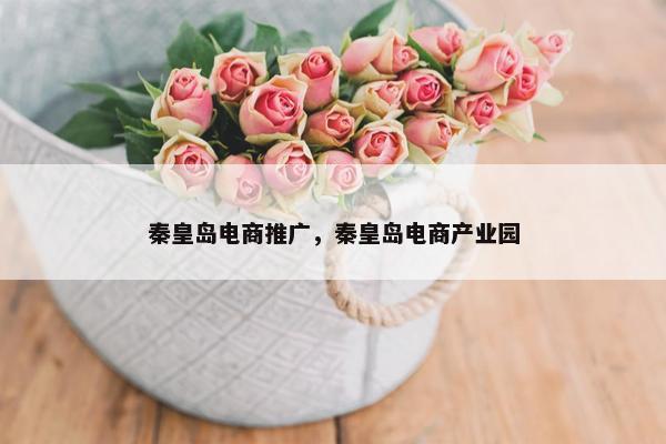 秦皇岛电商推广，秦皇岛电商产业园