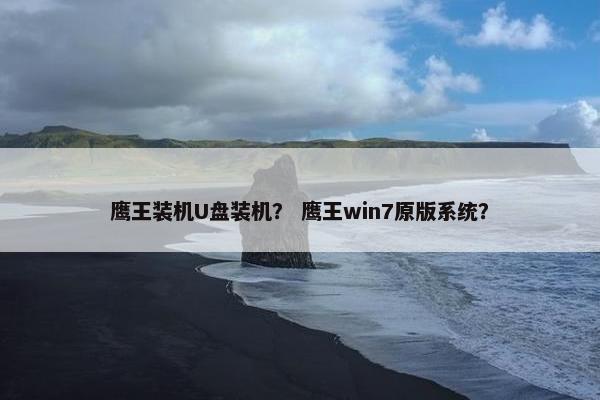 鹰王装机U盘装机？ 鹰王win7原版系统？