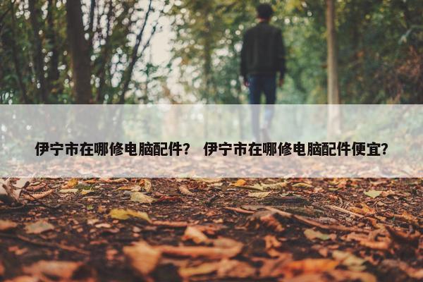 伊宁市在哪修电脑配件？ 伊宁市在哪修电脑配件便宜？
