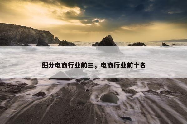 细分电商行业前三，电商行业前十名