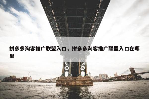 拼多多淘客推广联盟入口，拼多多淘客推广联盟入口在哪里