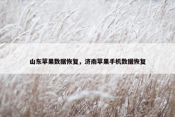 山东苹果数据恢复，济南苹果手机数据恢复