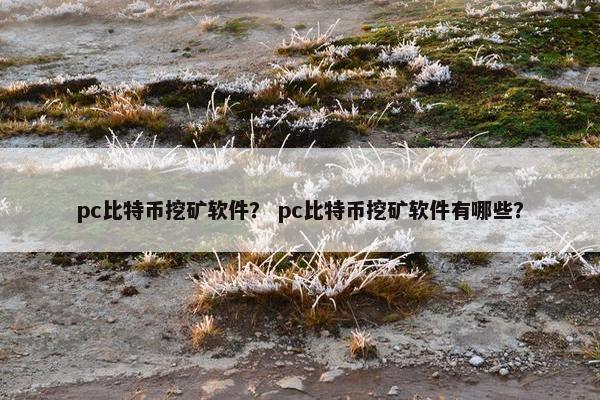 pc比特币挖矿软件？ pc比特币挖矿软件有哪些？