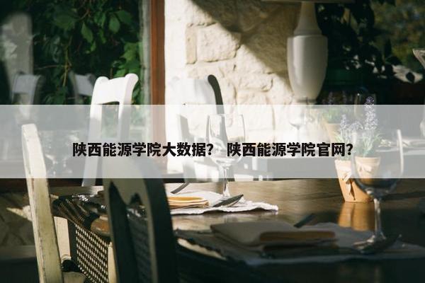 陕西能源学院大数据？ 陕西能源学院官网？