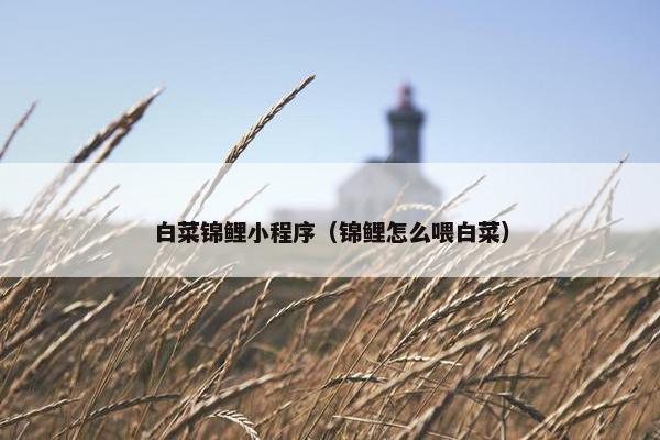 白菜锦鲤小程序（锦鲤怎么喂白菜）