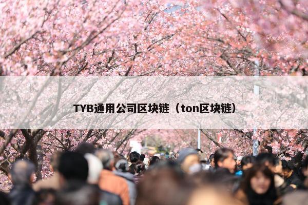 TYB通用公司区块链（ton区块链）