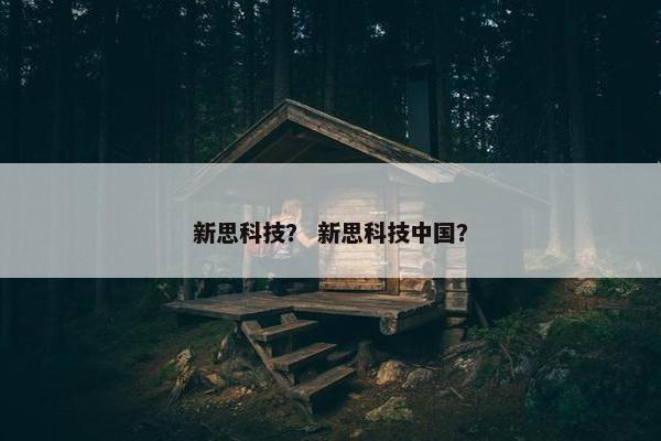 新思科技？ 新思科技中国？