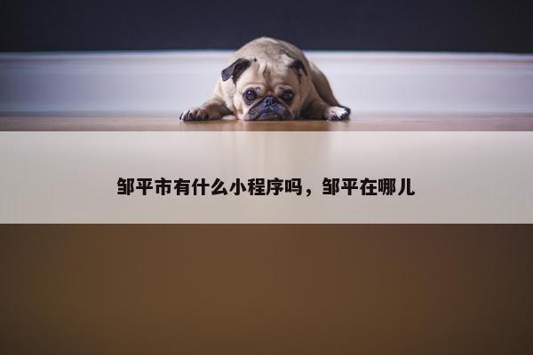邹平市有什么小程序吗，邹平在哪儿